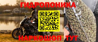 прущие грибы Ангарск